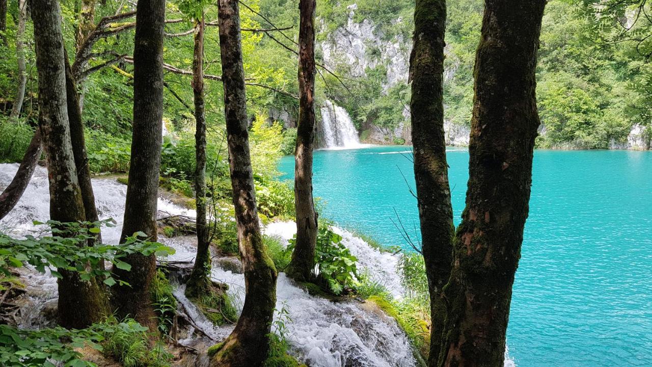 B&B Plitvica Villa Prica พลิตวิชกา เยเซรา ภายนอก รูปภาพ