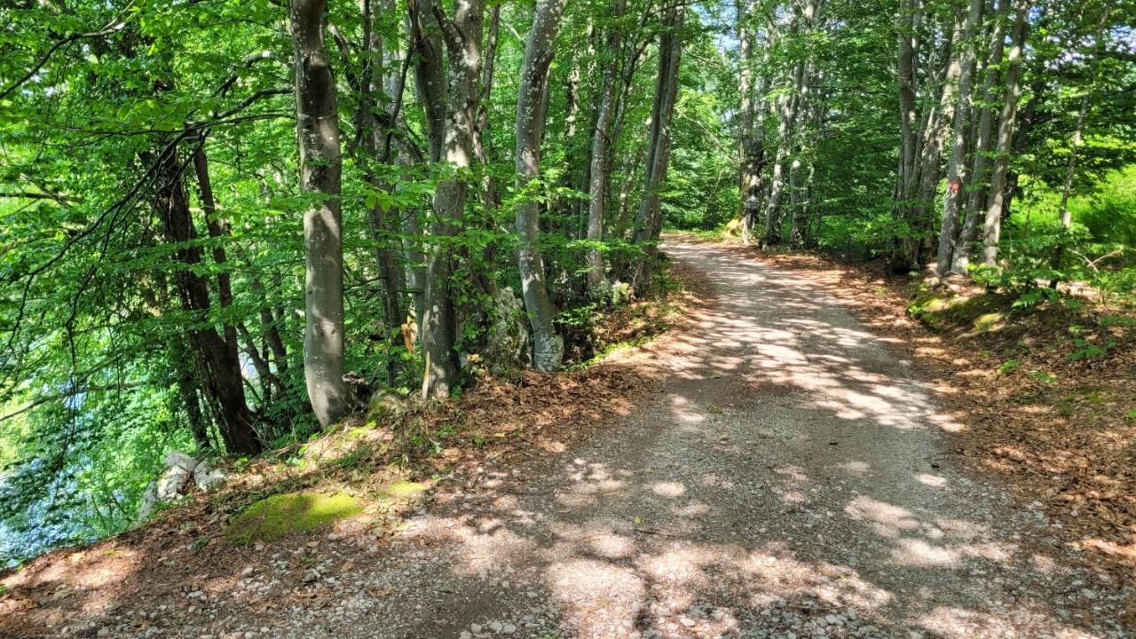 B&B Plitvica Villa Prica พลิตวิชกา เยเซรา ภายนอก รูปภาพ